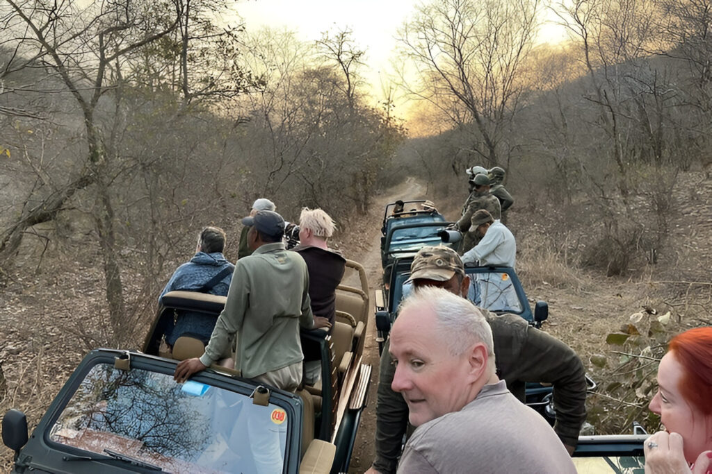 toridt experecing ranthambore tour This tour is similar to the Golden Triangle but includes Ranthambore National Park, where you can see tigers and other animals.After visiting Delhi, Agra, and Jaipur, you can spend a day in Ranthambore