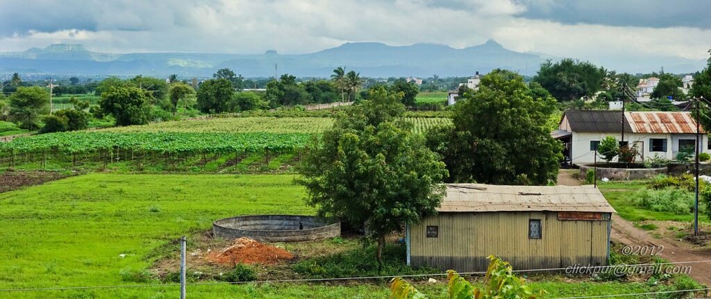 Sansari Village Deolali Maharashtra 422401 India panoramio 7